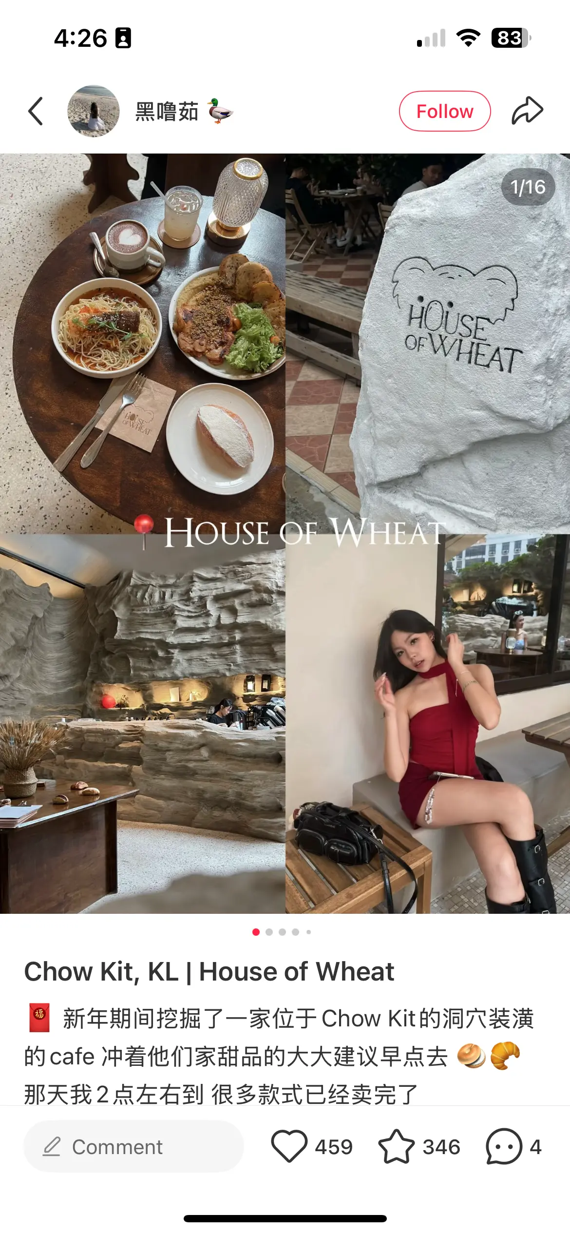 house-of-wheat-xhs-kol-portfolio-1